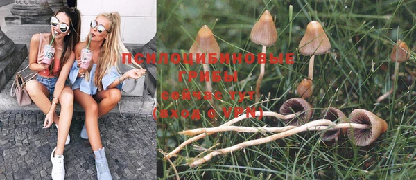 молекула духа Мегион