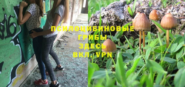 молекула духа Мегион