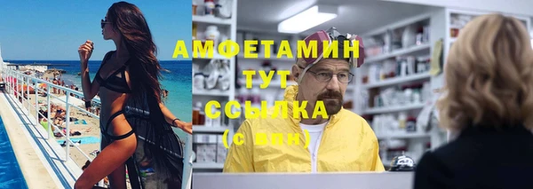 молекула духа Мегион