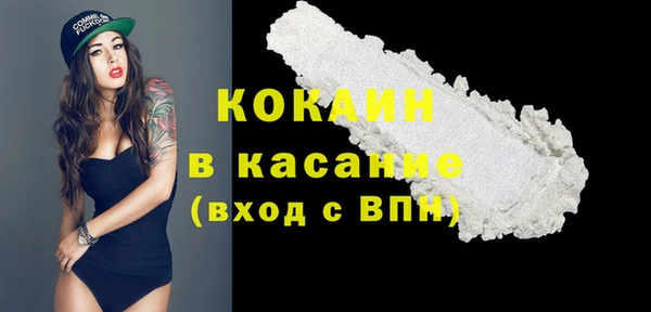 молекула духа Мегион