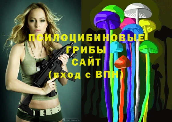 молекула духа Мегион