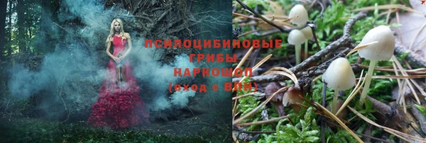 молекула духа Медвежьегорск