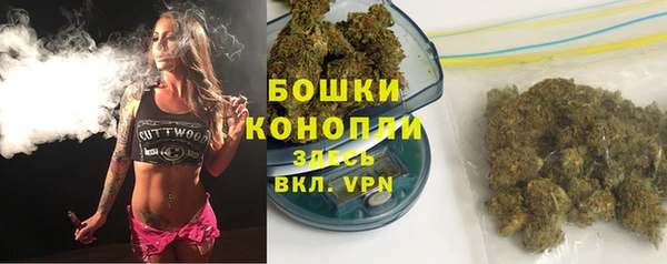 молекула духа Медвежьегорск