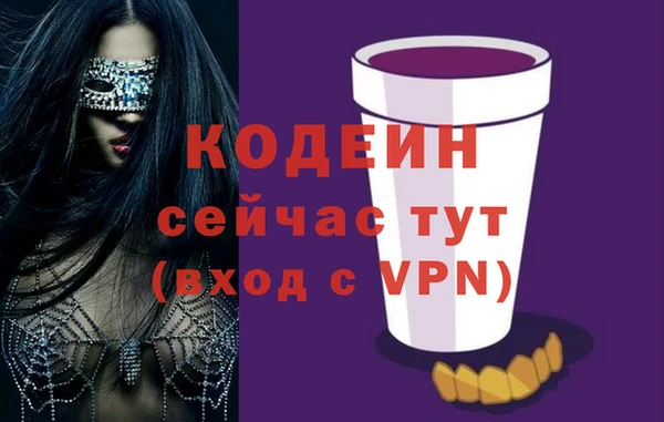 молекула духа Медвежьегорск