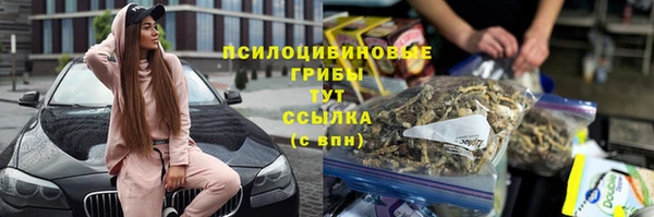молекула духа Мегион